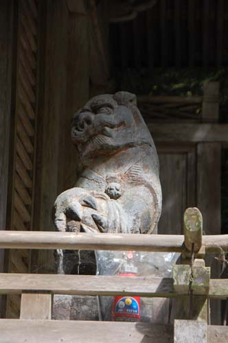 神殿狛犬吽形