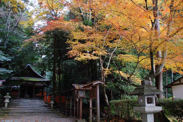 大田神社参道の奥に拝殿が見える
