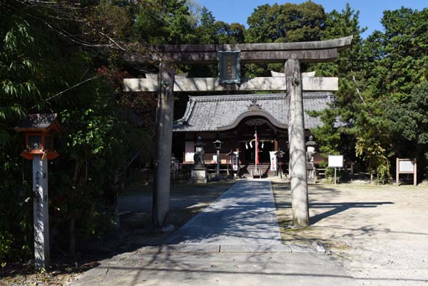 �q�a�E�{�a�����