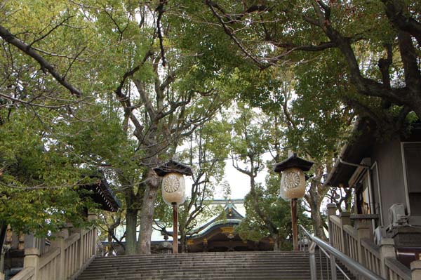 �Q���̊K�i���q�a�����グ��