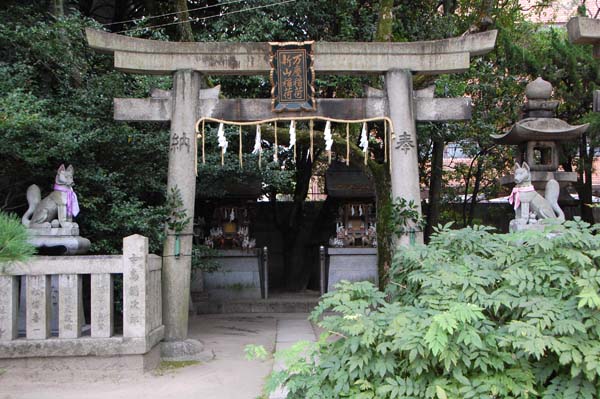 �V�R��ׁE���c���