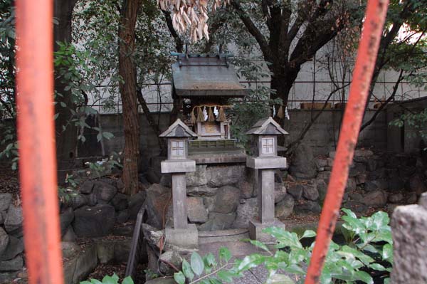 �����_��